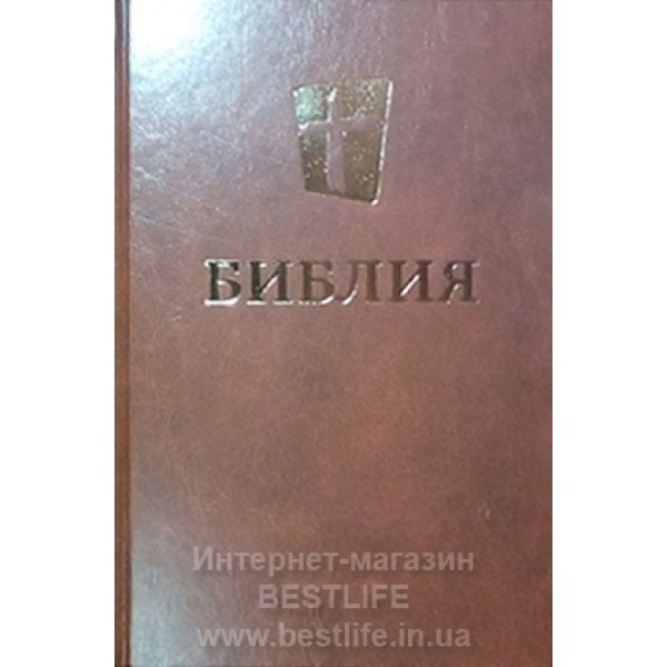 Новый Перевод Библии 2022 Год